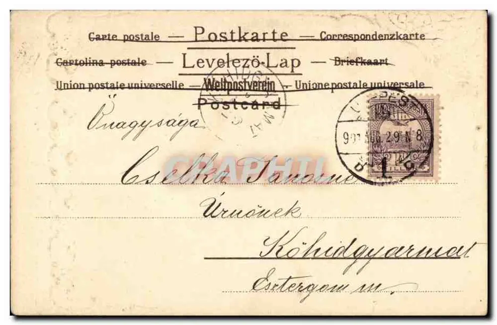 Bergansicht — Landschaft mit einsamem Kiefern — Verlag nicht sichtbar - Rückseite