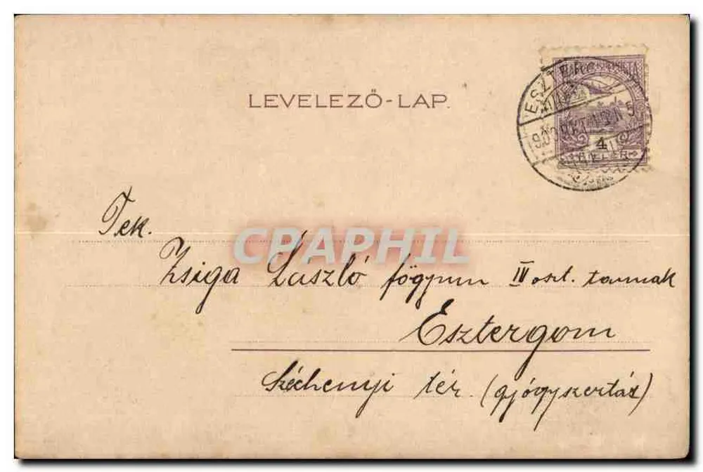 Rosen — rosa und gelbe Rosen — Verlag LEVELEZŐ-LAP, Esztergom - Rückseite