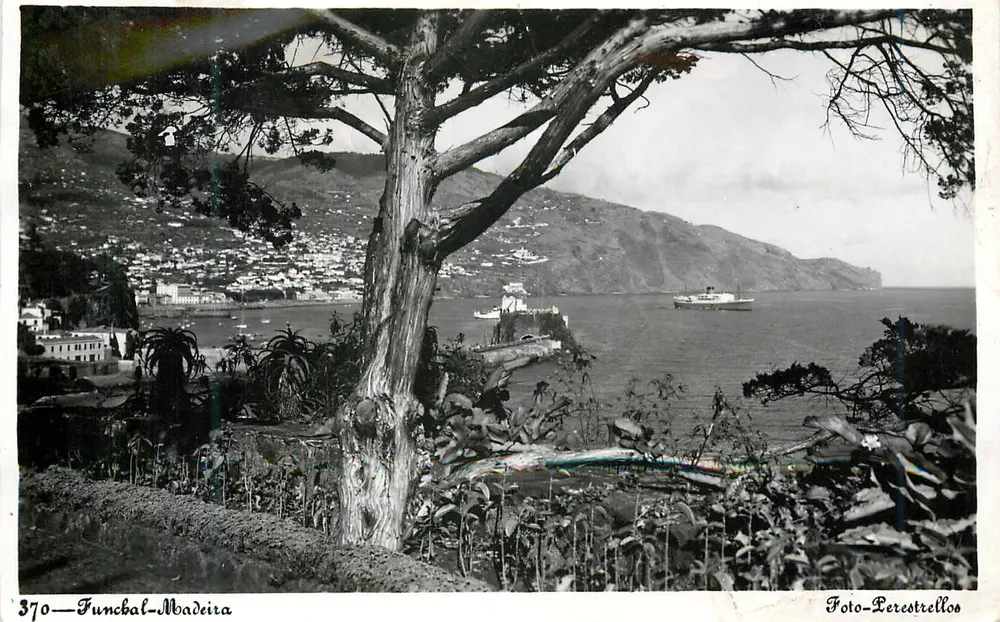 Funchal-Madeira — vista do porto com um navio — Foto-Perestrellos, n°370 - Frente