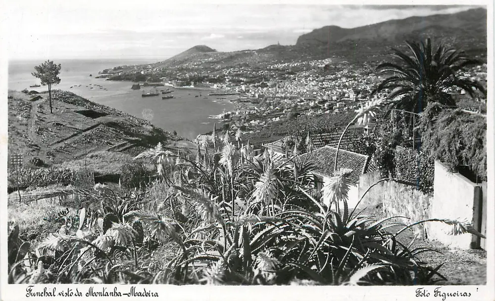 Funchal visto da Ilheulanda-Meladeira — Folio Figueiras - Anverso