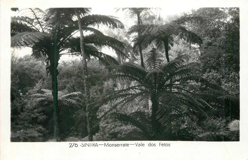 SINTRA—Monserrate—Vale dos Fetos — Coleção 'DULIA' - Frente