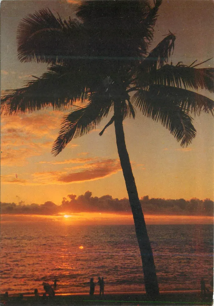 Kokospalmen — Île de La Réunion (Frankreich) — Éditions Gelabert - Vorderseite