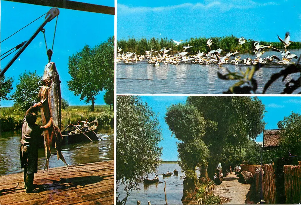 Tulcea — Fishing in the Danube Delta — Pelican Colony - Front
