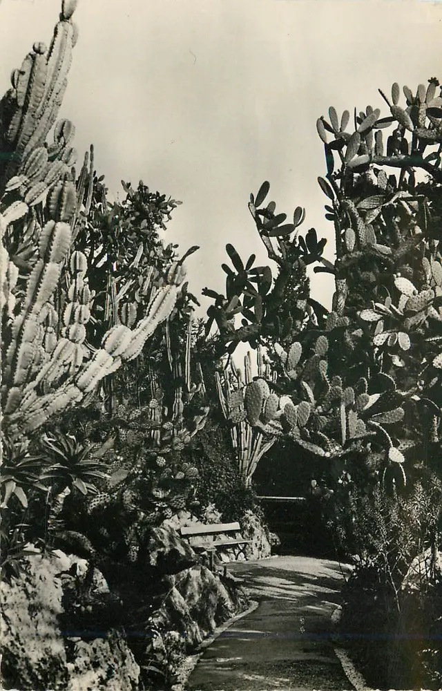 Exotischer Garten von Monaco — Kakteen und Sukkulenten — Editions de Luxe "Estel" - Vorderseite