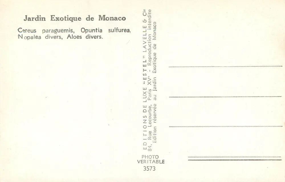 Exotischer Garten von Monaco — Kakteen und Sukkulenten — Editions de Luxe "Estel" - Rückseite