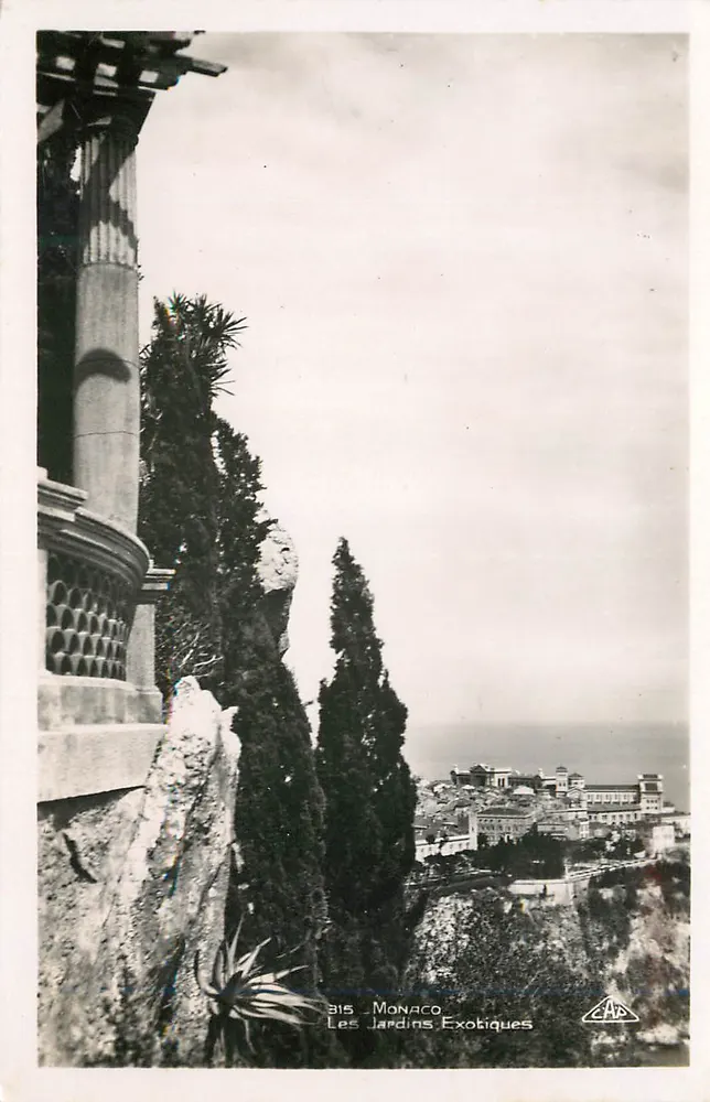 Mônaco — Jardins Exóticos — C.A.P. n°315 - Frente