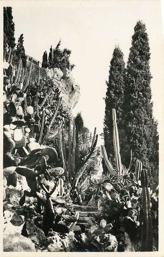 Monaco — Die exotischen Gärten. Opuntia, Cereus und verschiedene Aloe — Éditions La Cigogne - Vorderseite