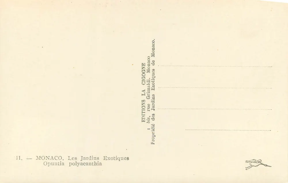 Mônaco — Os Jardins Exóticos — Opuntia polyacantha - Verso