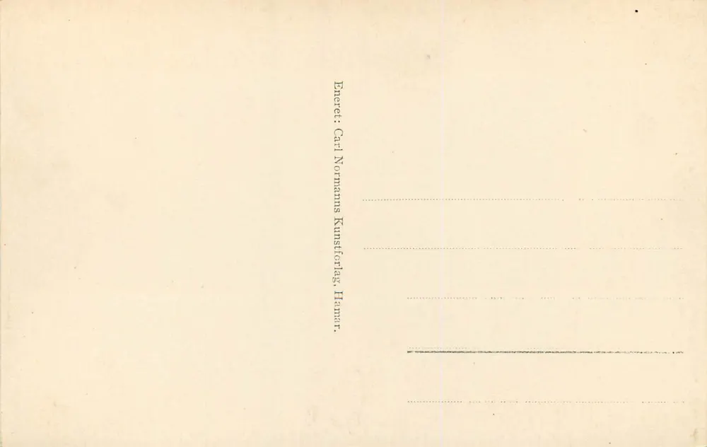 Bergen — Aussicht von Florida in Richtung Haukeland Villakvarter — Fol. Normann, n° 3044 - Rückseite