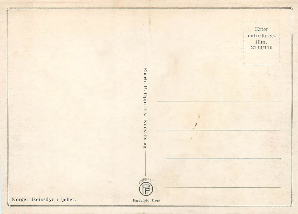 Reinsdyr i fjellet — Noruega — Editor Ebeth. B. Oppi A/S Kunstforlag - Verso