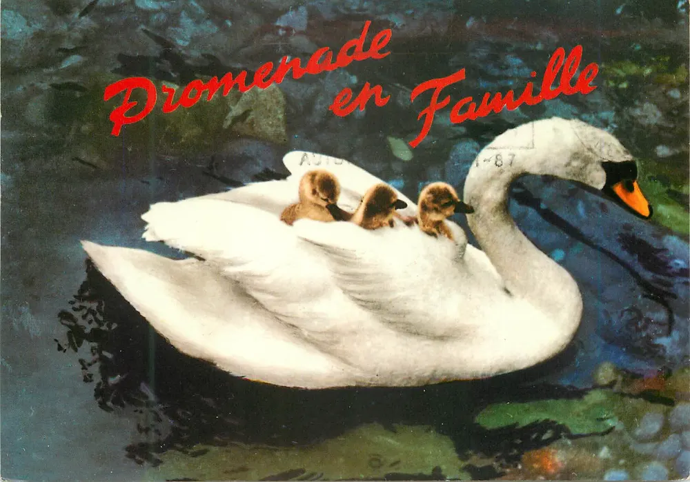 Familienausflug — See Léman — Éditions Hélio, LL 733 - Vorderseite