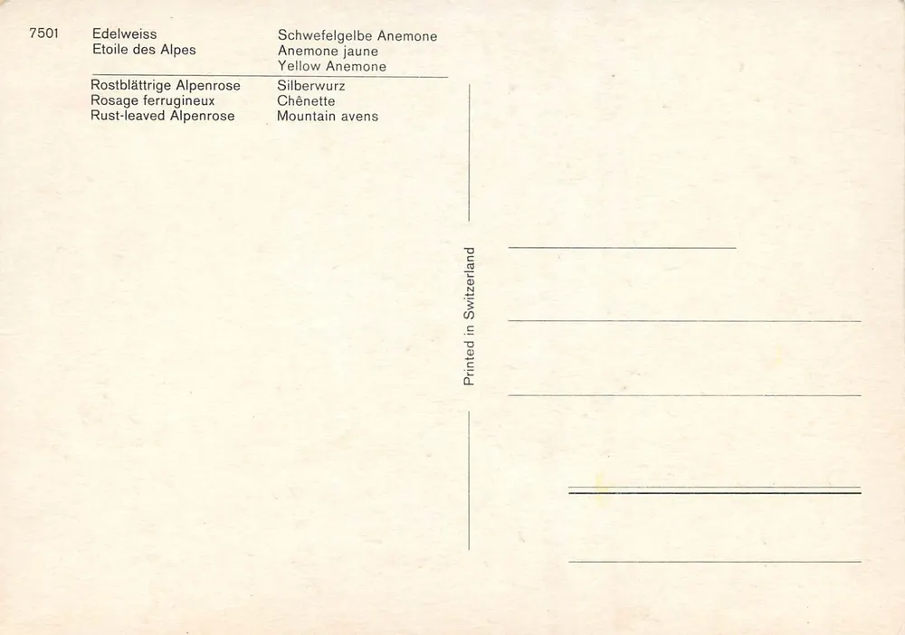 Alpine Blumen — 4 Szenen — In der Schweiz gedruckt, Nr. 7501 - Rückseite