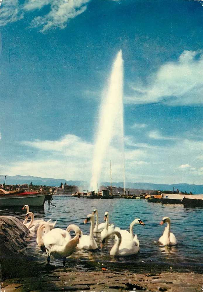 Geneva — O jato d'água (130 m) e os cisnes — Edições Coloris Vaeger & Fils, Genebra, n°493 - Frente