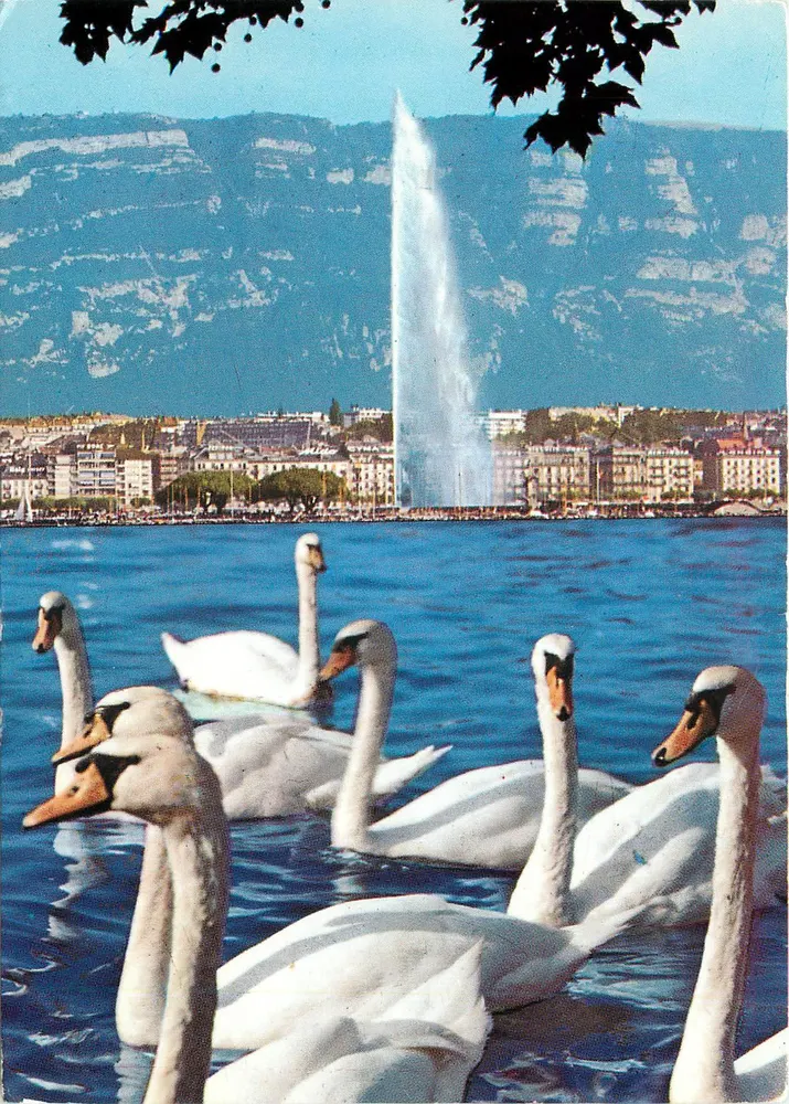 Geneva – A enseada — Éditions Colors, n° 12753 - Frente