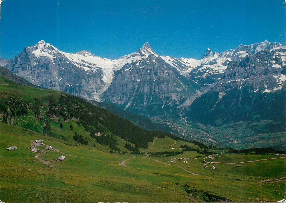 Grindelwald, Bussalp met Wetterhorn, Schreckhorn, Finsteraarhorn, Fiescherwand — Verlag Ernst Schudel AG, Nr. 27 - Voorkant