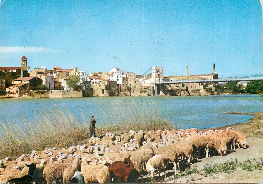 Panoramiczny widok rzeki Ebro — Tarragone — Wydawca: Librería - Foto Alforno - Awers