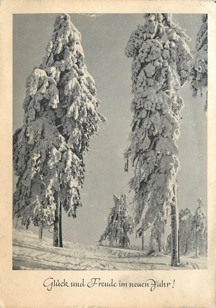 Forêts enneigées — Vœux de bonheur pour l'année nouvelle — VEB Kunstkarte Dresden, n° 3055 - Recto