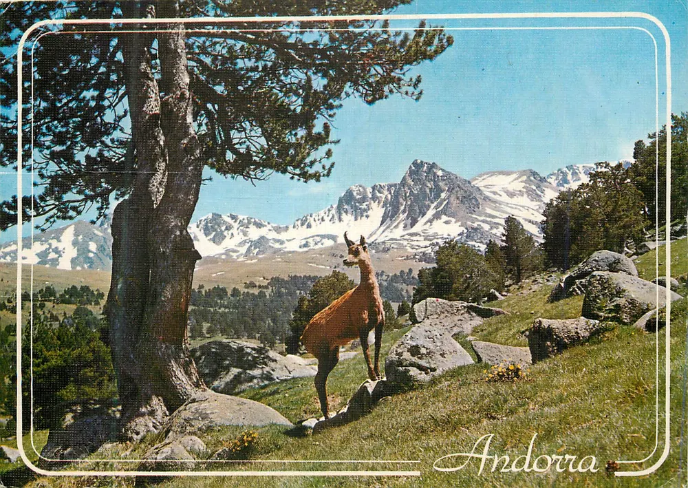 Coelho das montanhas — Andorra — Editor FISA, n° 101 - Frente