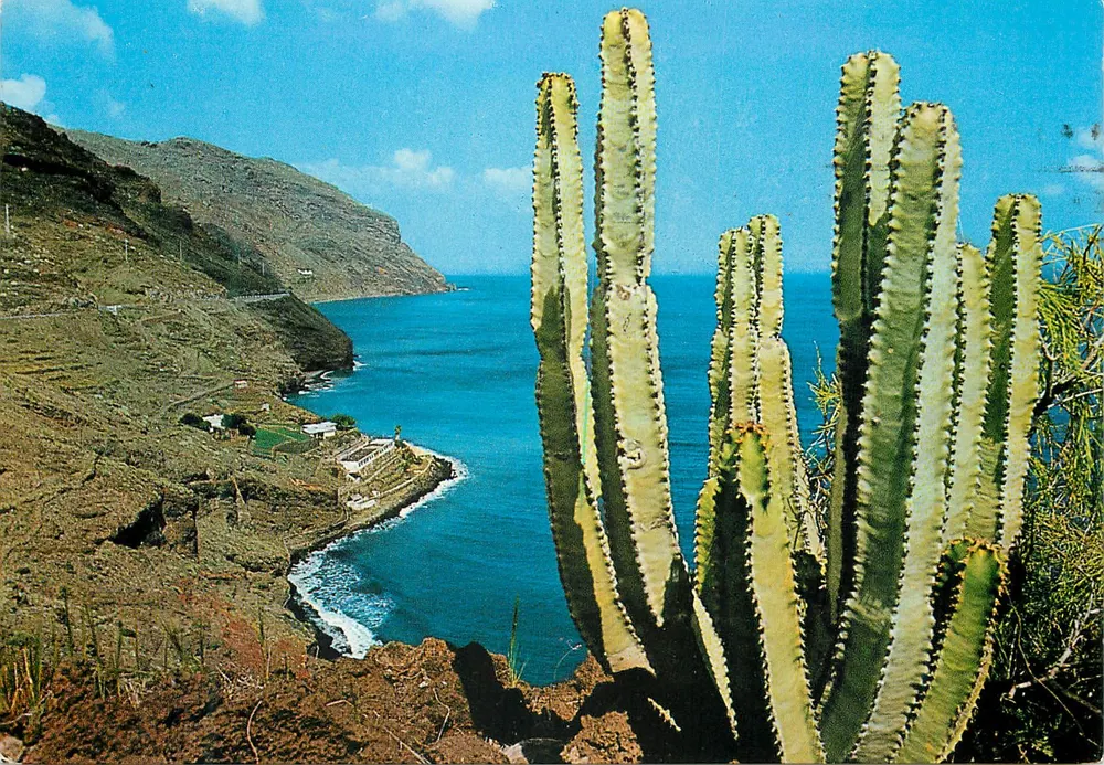 Punta de Anaga — Vue panoramique depuis Punta de Los Organos — SC. de Tenerife - Recto