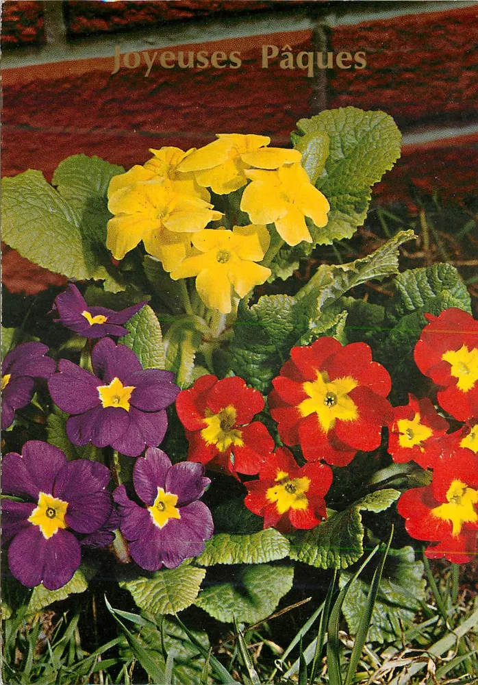 Flores de primavera — Felizes Páscoas — ANCO 1/558 - Frente