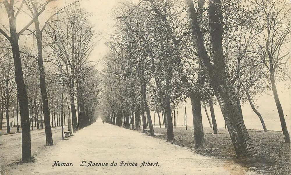Namur. A Avenida do Príncipe Albert — Grands Magasins de la Station, editora - Frente