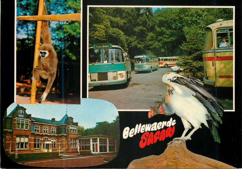 Bellewaerde Safari — Vergnügungspark Mit Affe, Bus Und Geier — NV Pluspoint Blankenberge - Vorderseite