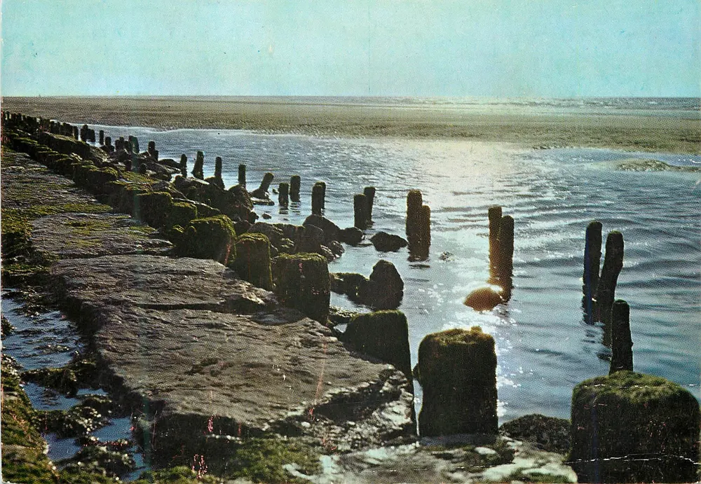 Golf-breker — Brise-lames — Break-water — Meer-Brecher — Éditions Vog, Bruxelles, n° 420 - Frente