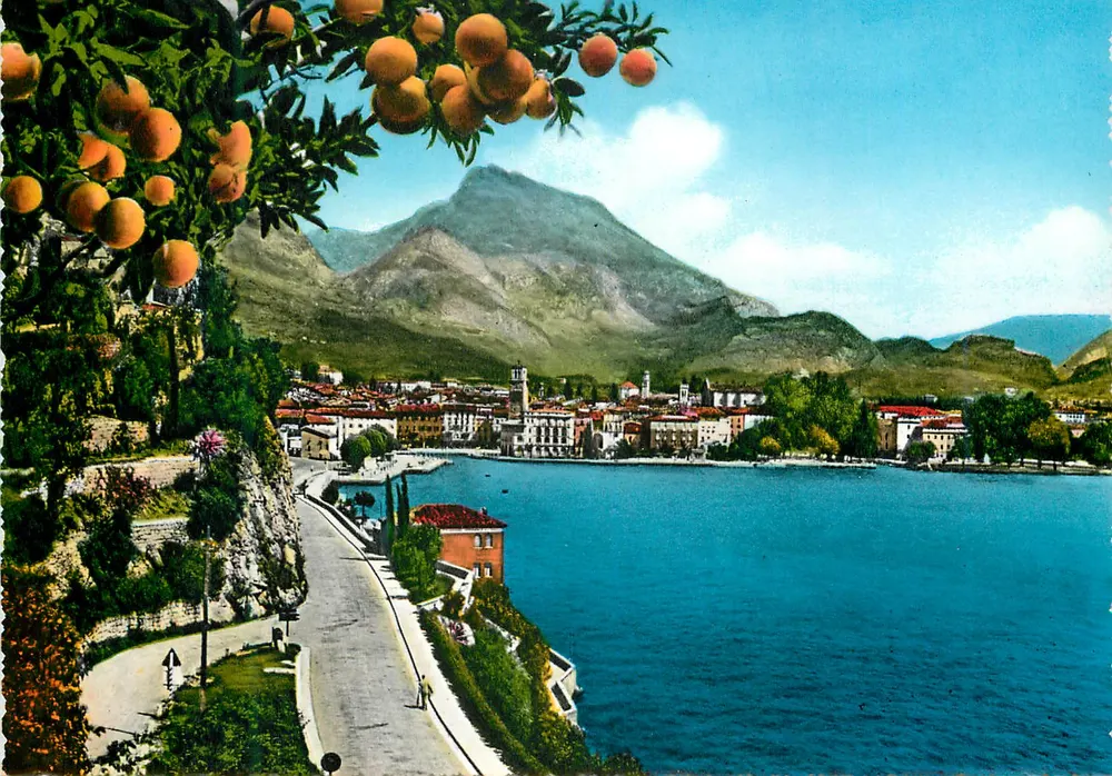 Lago di Garda - RIVA — vista panorâmica com montanhas e laranjeiras — editor A. Preda, Milão, n°41 - Frente
