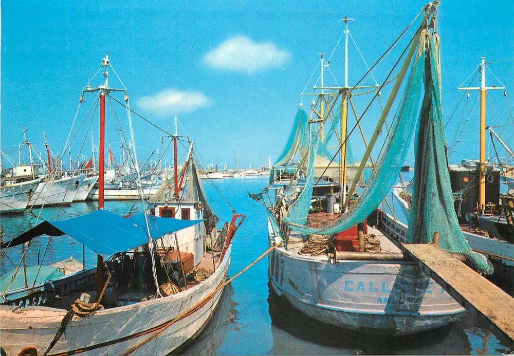 Porto di S. Benedetto del Tronto — vue des bateaux de pêche — éditeur Alterocca Terni, n° 16059 - Recto