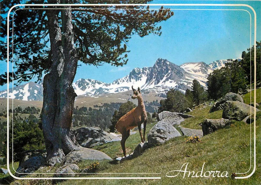 Andorra — paisaje montañoso con bouquetín — editor M.C. ISCLA, serie ESCUDO DE ORO - Anverso