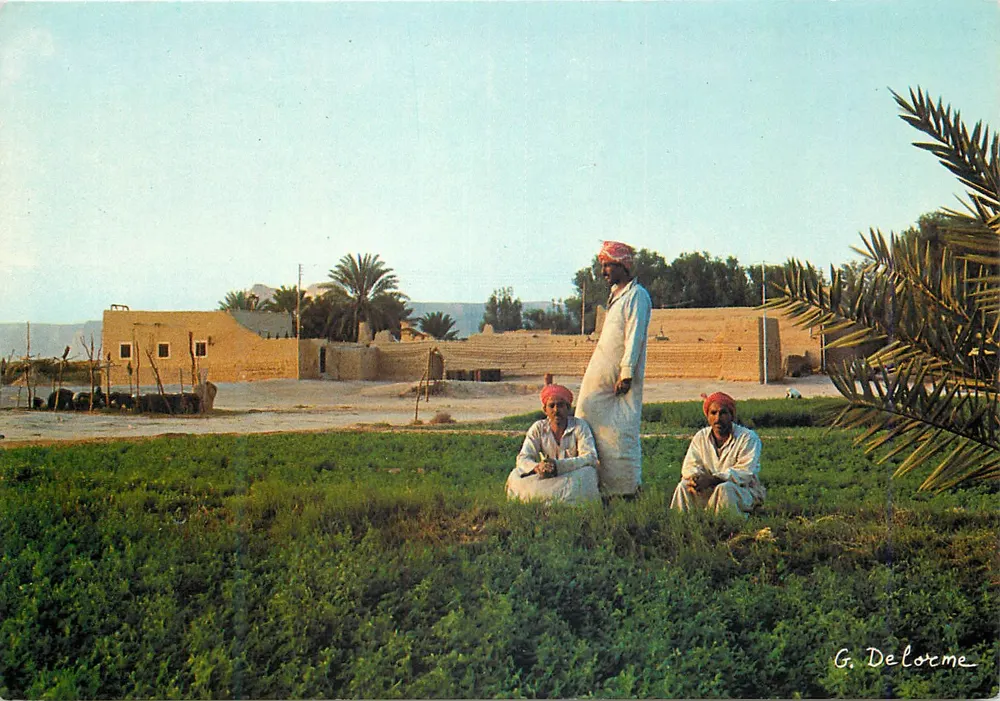 Riyadh - Boeren in de omgeving van de stad — G. Delorme, n° 2119 - Voorkant