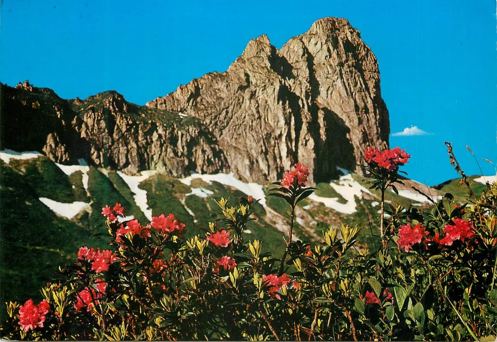 अल्पेनरोसेन — रोंबाच, ऑस्ट्रिया — जाह्रफोटो रिश-लॉ, नंबर 36549 - आगे