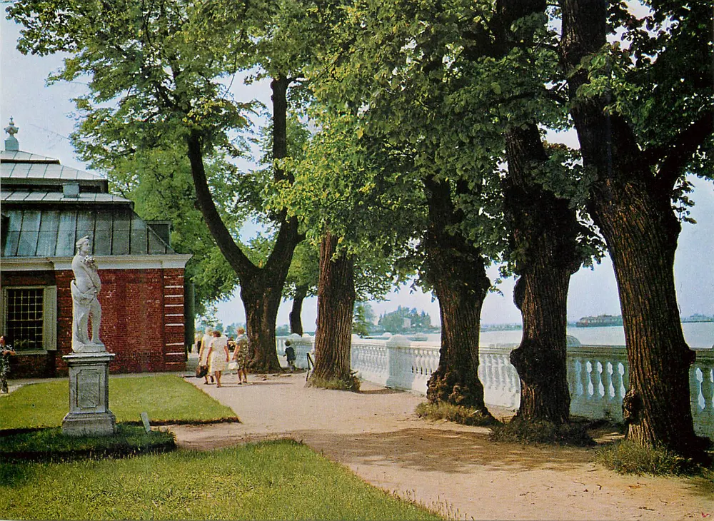 Embankment bei Petrodvorets — 'Berezka' — V-311 - Vorderseite