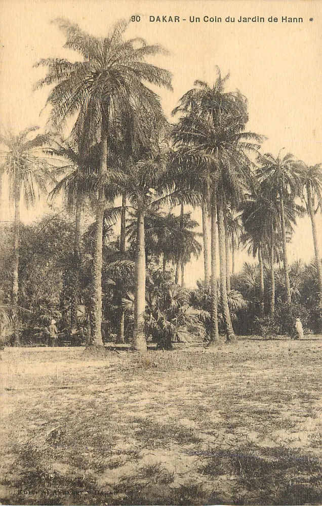 DAKAR - Ein Eckchen des Gartens von Hann — Verlag Éd. A. Léonard, Nr. 90 - Vorderseite