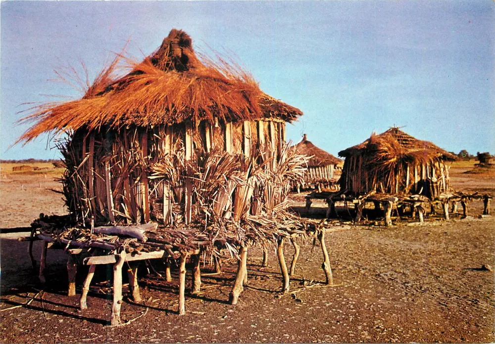 ले सिने-सलूम — पालमरिन के गेहूं के गृह — फोटो MYD-B.P. 1037 - डाकार - 85/5 - आगे