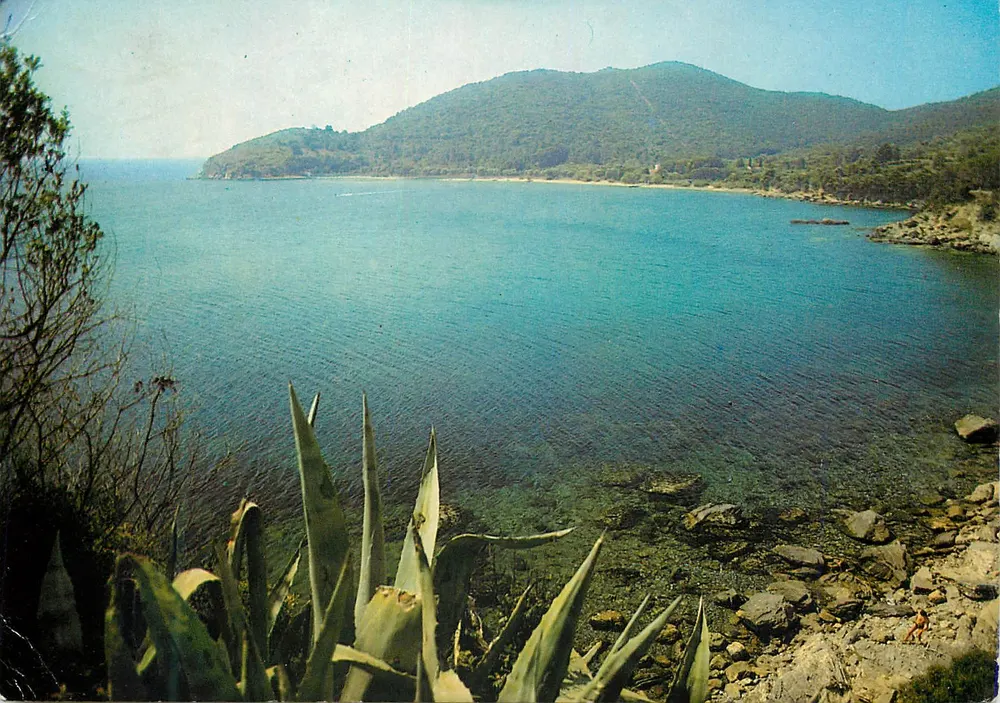 Isola d'Elba — Marina di Campo - Calenzana — M. Tognoli & C. s.a.s. Editori - Vorderseite