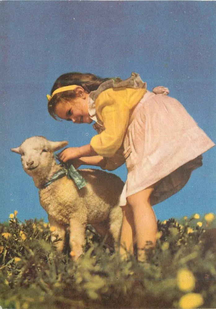 Menina e carneiro — em um campo de flores — Robivizioni S/035 - Frente