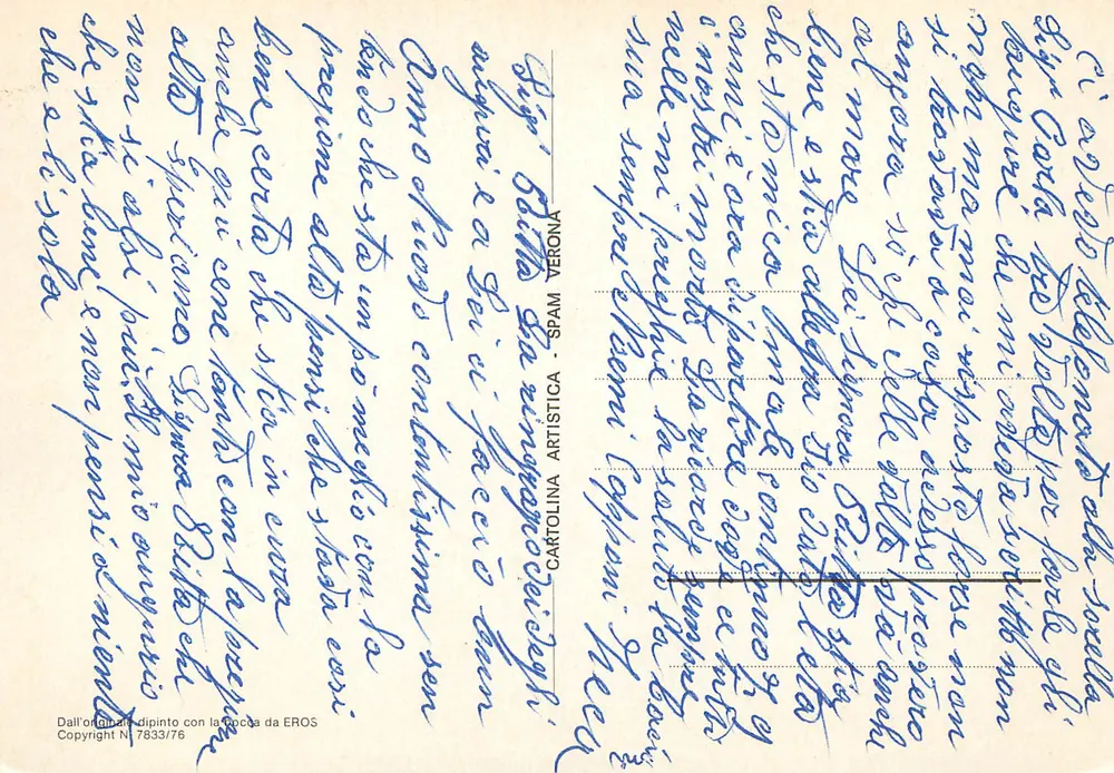 Poinsettia — ilustração em fundo azul — Cartolina Artistica, n° 7833/76 - Verso
