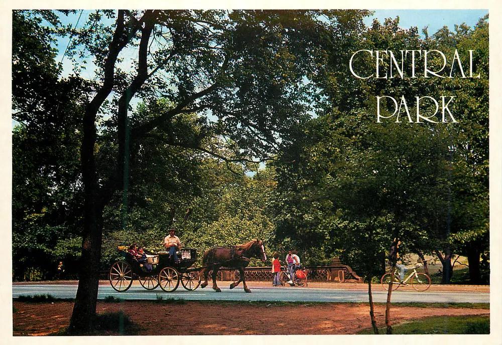 Central Park — Nova York — editor ALMA, n° 1126 - Frente