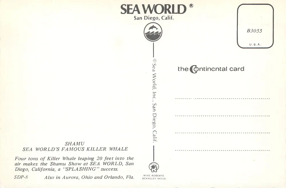 Spectacolare salto di una orca — Sea World, San Diego — Cartolina d'epoca Continental Card B3055 - Verso