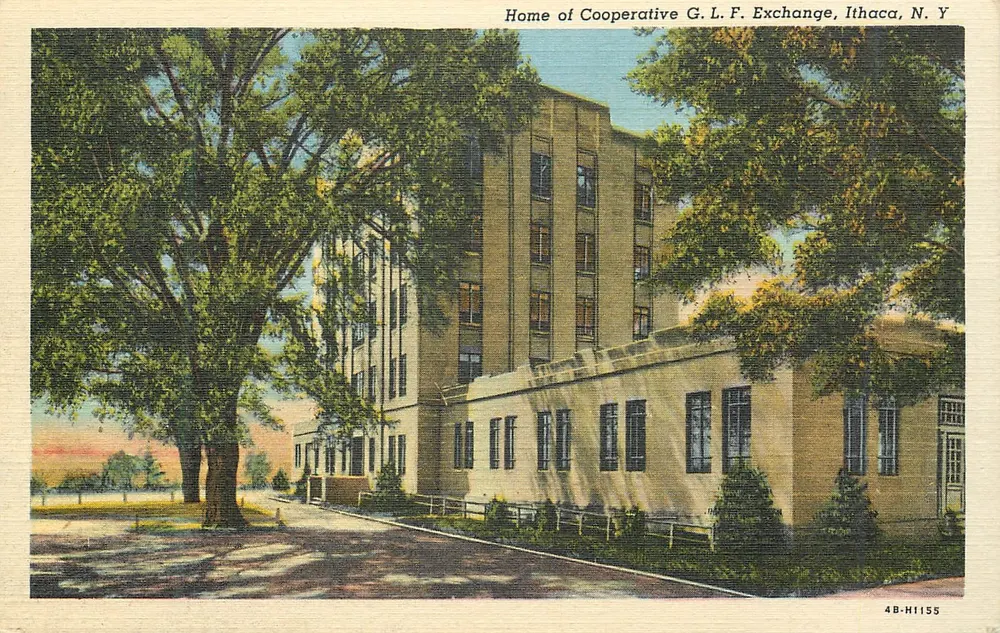 Sitz der Genossenschaft G. L. F. Exchange, Ithaca, N.Y. — Verlag C.T. Art-Colortone, Nr. 4B-H1155 - Vorderseite