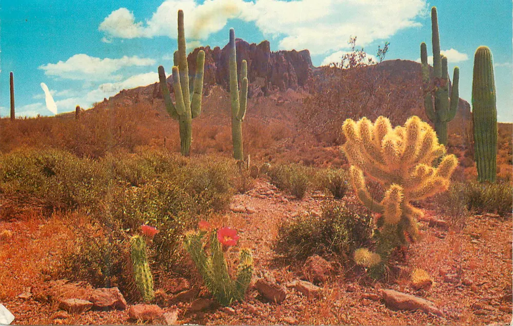 Deserto colorido — Palmdale, Califórnia — Foto por Free Lance Photographers Guild, Inc. S-29230-B - Frente