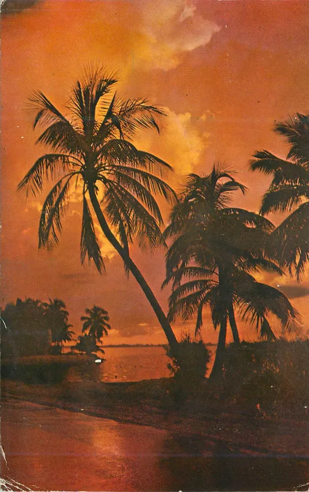 Tropischer Landschaftsaufnahme bei Sonnenuntergang — Koppel Color Cards, Serie FG227 - Vorderseite