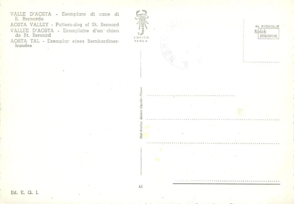 Cão de Saint-Bernard — Vale da Aosta — Ed. E.G.I. n°41 - Verso