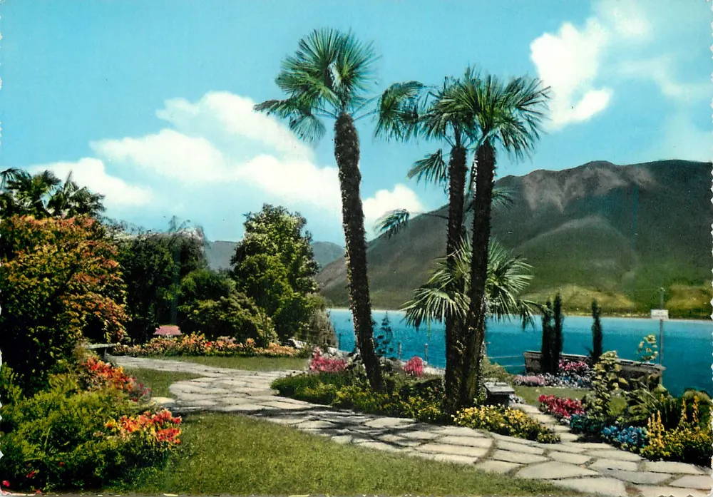 Lago Maggiore — Motivo — Photoglob - Wehrli A.G. - Zürich, n°316 - Frente