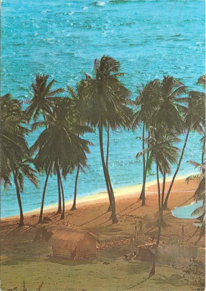Martinique - Sainte-Marie — Ein Stück Strand an der Anse Azerot — Éditions Trois Îlets, Nr. 193 - Vorderseite