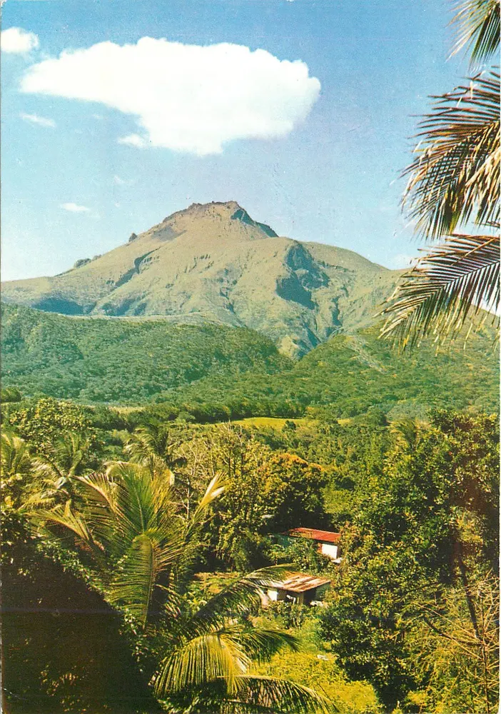 Berg Pelée — Blick auf den Morne Rouge — Éditions Félix Rose-Sette n°295 - Vorderseite