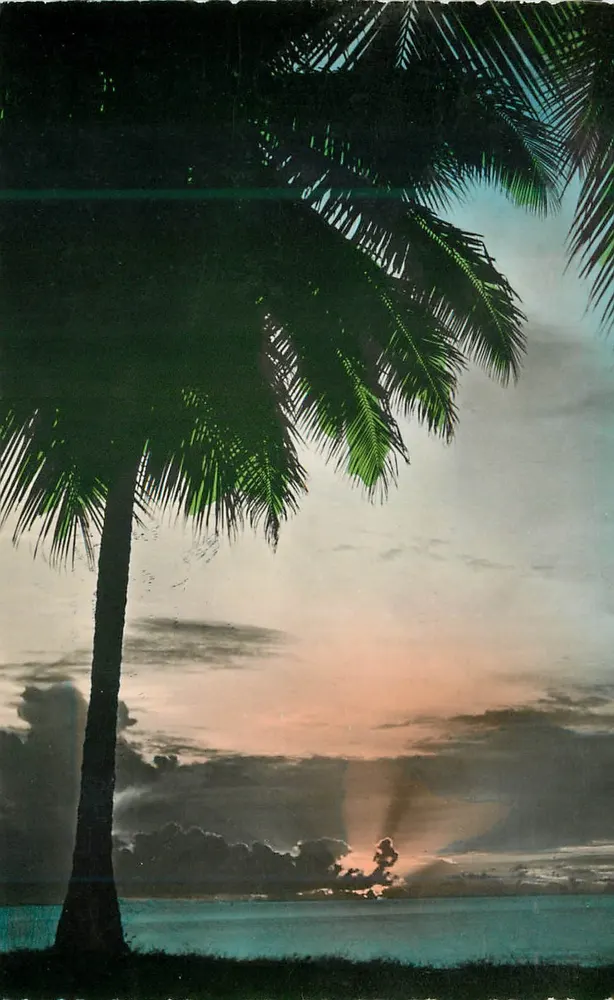Pôr do sol em Madiana (Martinica) — reprodução — Cliché Cécile Duchel, n°139 - Frente