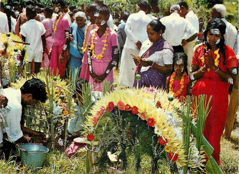 कावाडी उत्सव — मॉरीशस — ऑफरेटकलर - आगे