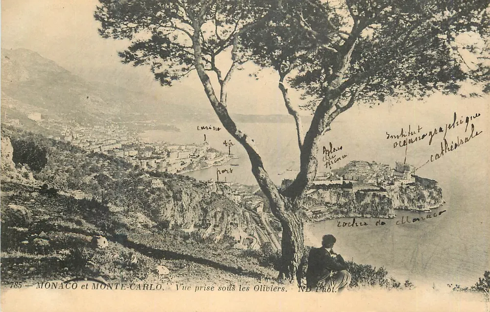 MONACO und MONTE-CARLO — Ansicht aus unter den Olivenbäumen — ND Phot. - Vorderseite